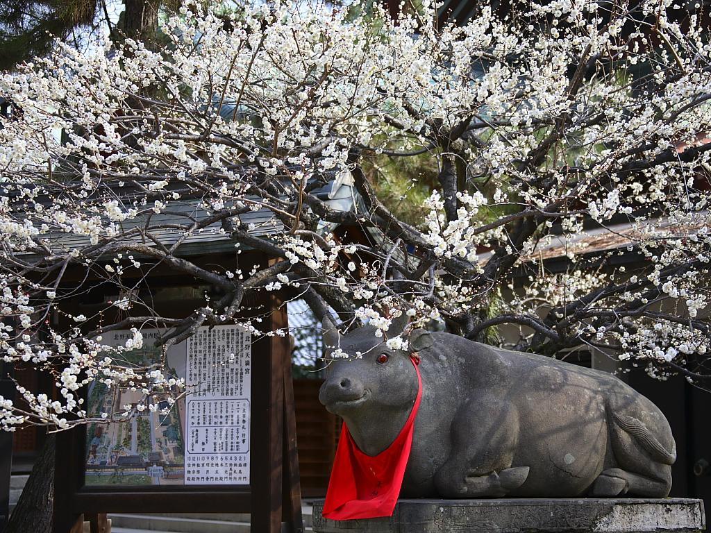 Guesthouse Iloha Kyoto Exterior photo